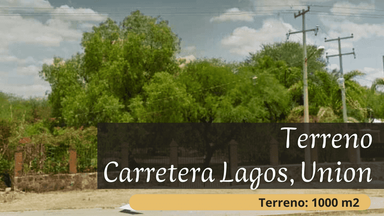 terreno en venta   plan de los rodriguez lagos de moreno jalisco poqSh9a