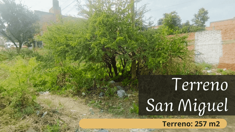 terreno en venta   san miguel lagos de moreno jalisco poCkmHa